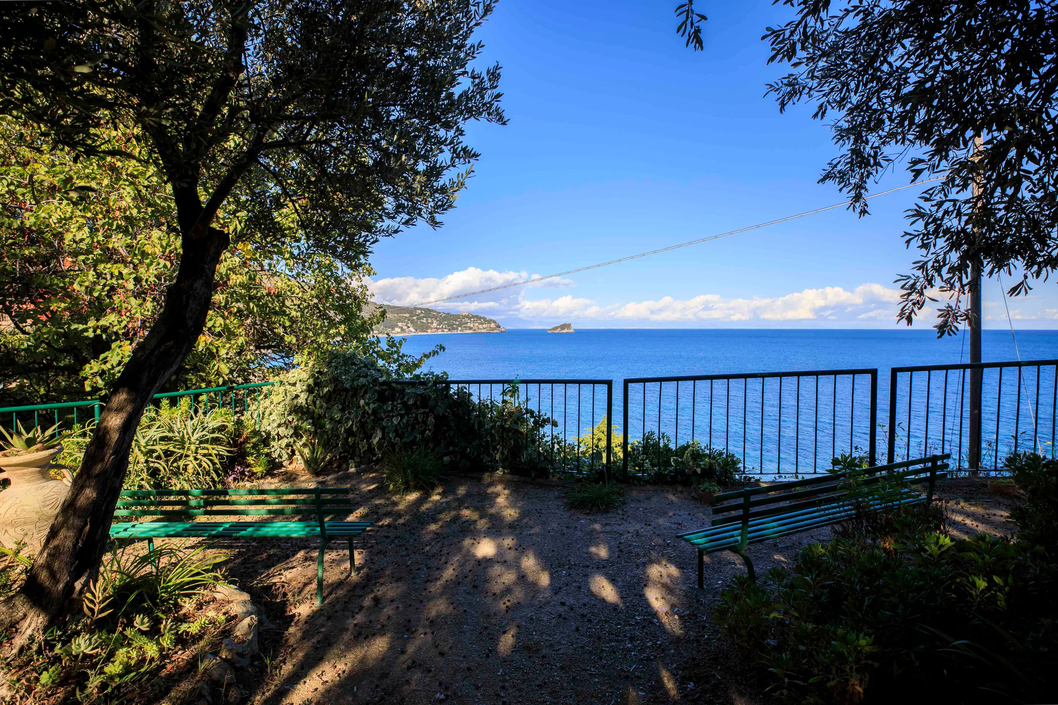 Olive trees and benches in the garden overlooking the sea
