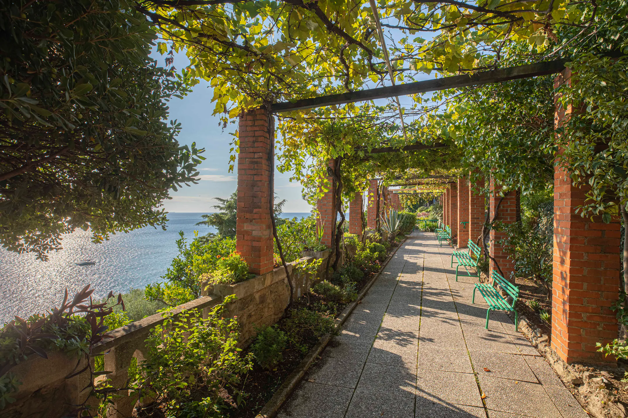 A path under the vine-covered pergola, with benches and a view of the sea